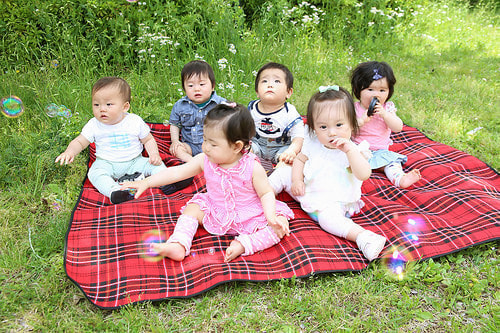 葛西臨海公園 バースデーフォト 夏