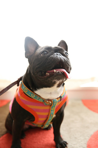 １歳バースデー