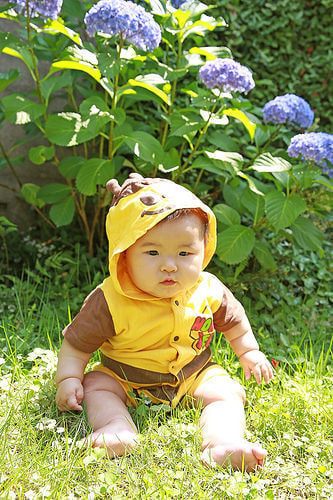 ハーフバースデー