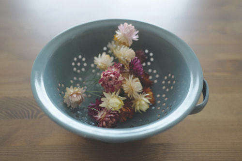 ホームページ、店舗、商品、プロフィール写真