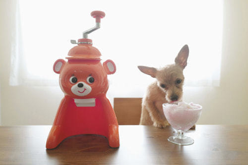 ホームページ、店舗、商品、プロフィール写真