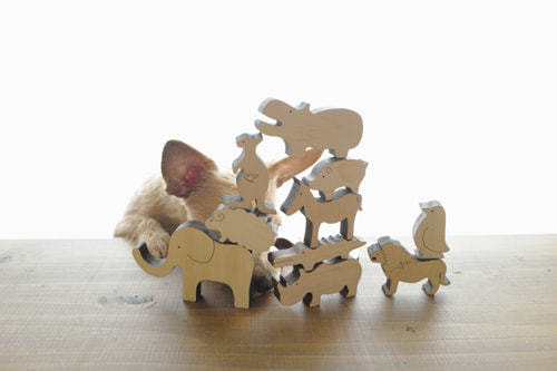 ホームページ、店舗、商品、プロフィール写真