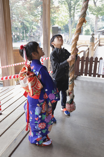 七五三写真 撮影場所 法華経寺６