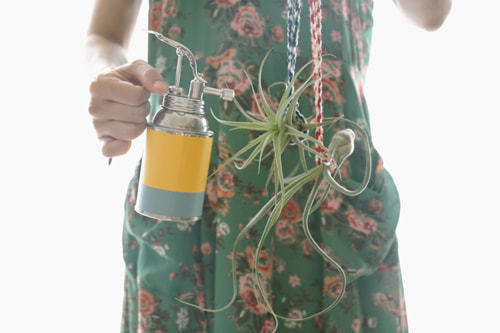 ホームページ、店舗、商品、プロフィール写真