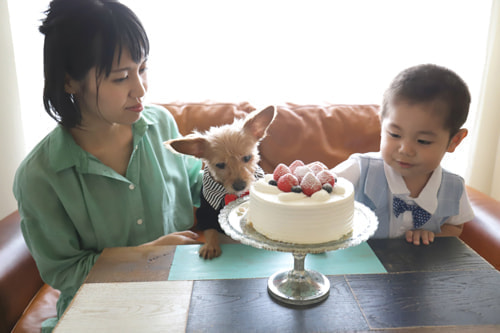 3歳バースデーフォト