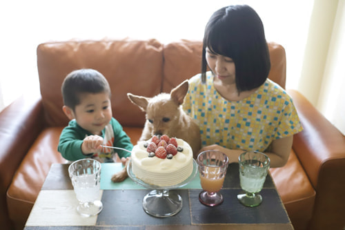 5歳バースデーフォト