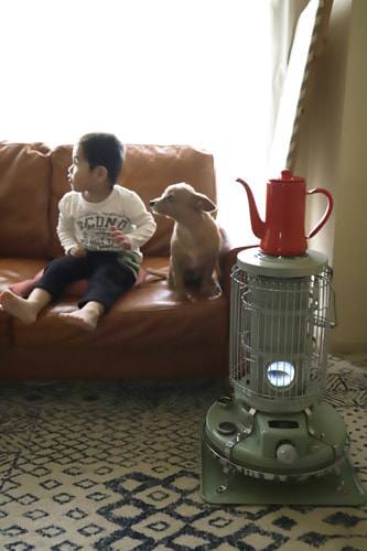 枕元に犬のおもちゃ