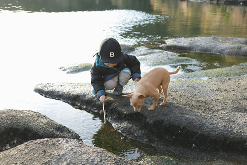 家族で油壷へ(油壺験潮場)