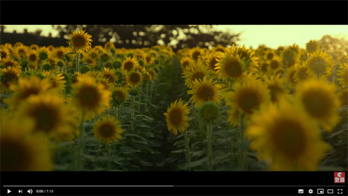 映画「世界でいちばん長い写真」