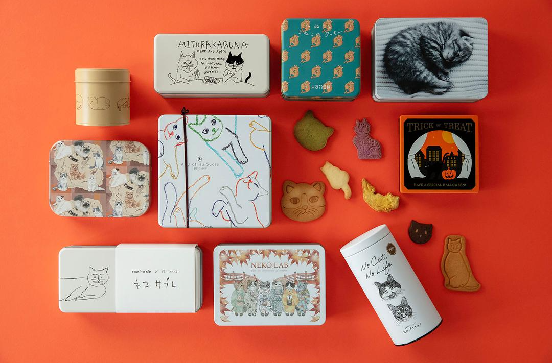 ボンジュールフォト