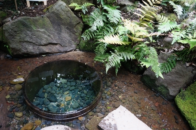 明治神宮 撮影許可