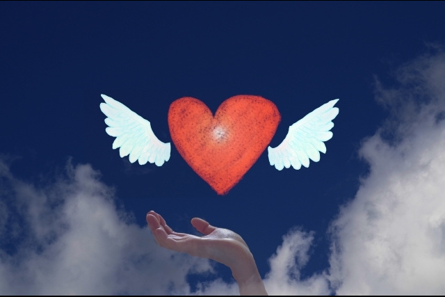 鶴岡八幡宮 撮影許可