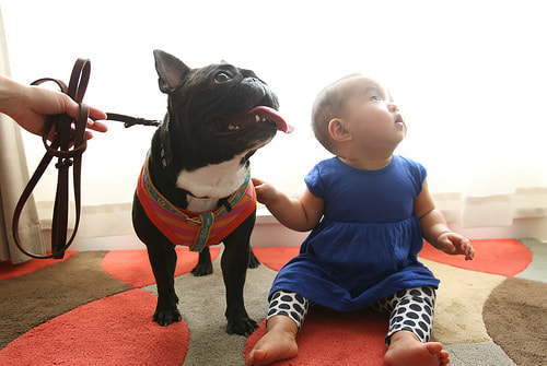 お宮参り、七五三の出張撮影