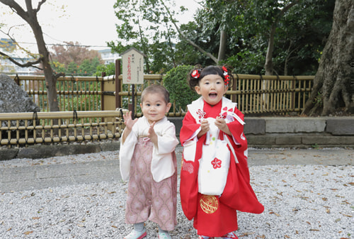 熊野師岡神社の撮影スポット さざれ石