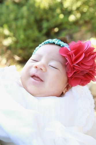 根津神社の撮影スポット つつじ苑前