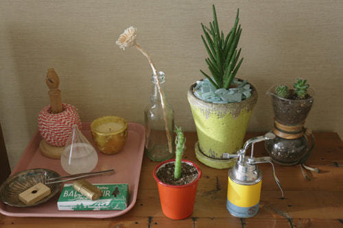 ホームページ、店舗、商品、プロフィール写真