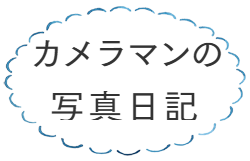 カメラマン日記