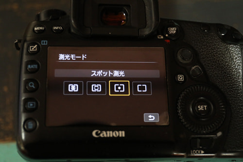 逆光｜写真テクニックガイド