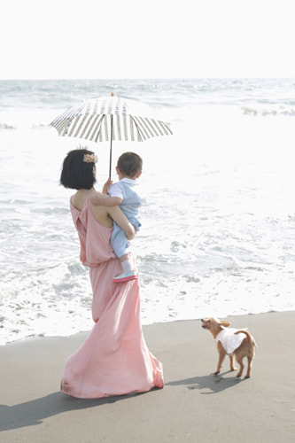 絞り、シャッタースピード、ISO感度の基本を簡単に解説