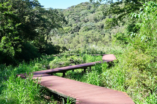 作品撮りはコンセプトと準備が重要