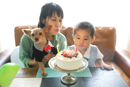 お家でおしゃれな写真を撮るアイデア イベントはハッピーに撮る