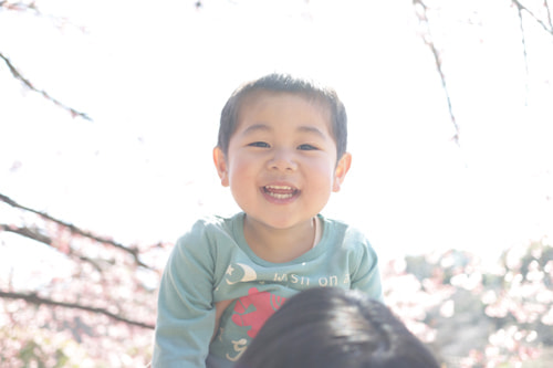 桜をおしゃれに撮るアイデア