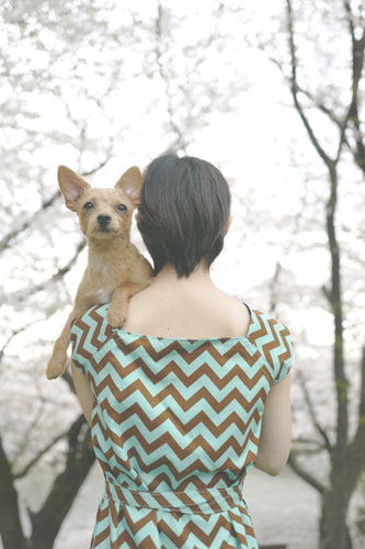 桜をおしゃれに撮るアイデア