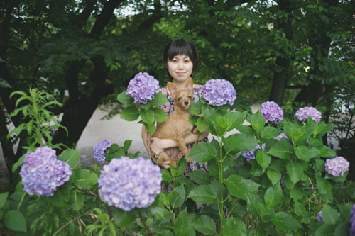 LeicaQ typ116 Summilux28mm F1.7 ASPH｜作例｜紫陽花