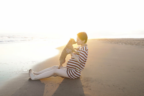 LeicaQ typ116 Summilux28mm F1.7 ASPH｜作例｜犬とかき氷