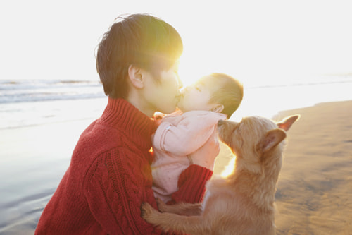 LeicaQ typ116 Summilux28mm F1.7 ASPH｜作例｜犬と赤ちゃん