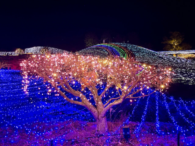 夜景を綺麗に撮影する方法｜イルミネーション