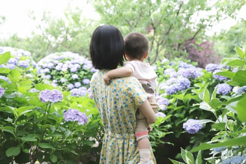 紫陽花のおしゃれな撮り方