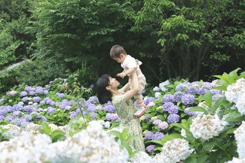 紫陽花のおしゃれな撮り方｜紫陽花に囲まれるポートレート