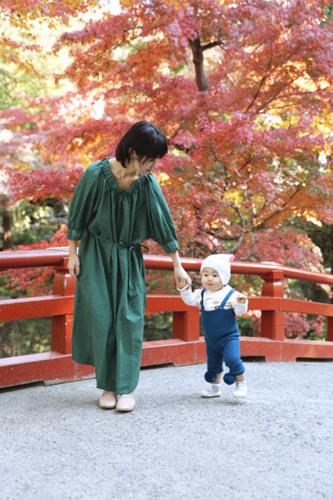 紅葉の撮り方｜初心者でも美しく撮れる基本テクニック｜背景に紅葉