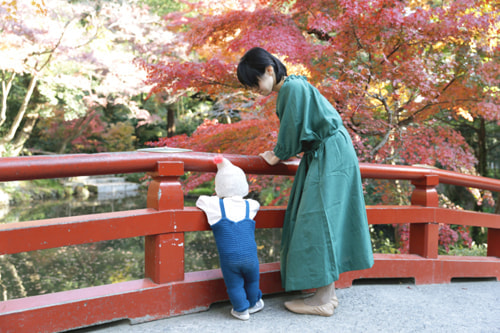 紅葉の撮り方｜初心者でも美しく撮れる基本テクニック｜背景に紅葉