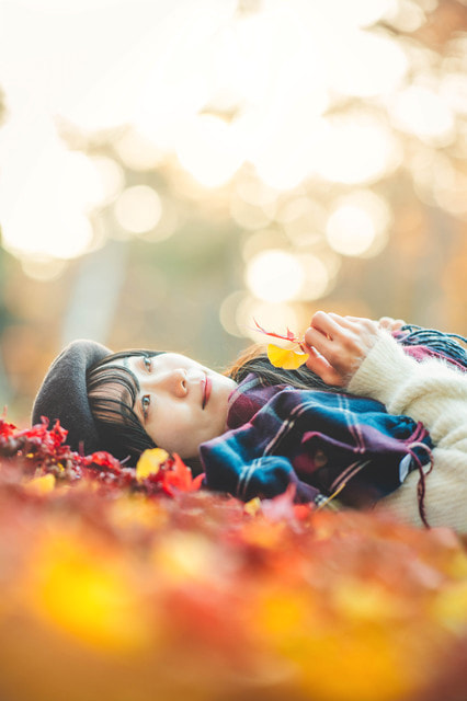 紅葉の撮り方｜初心者でも美しく撮れる基本テクニック｜前ボケ、後ろボケを使う