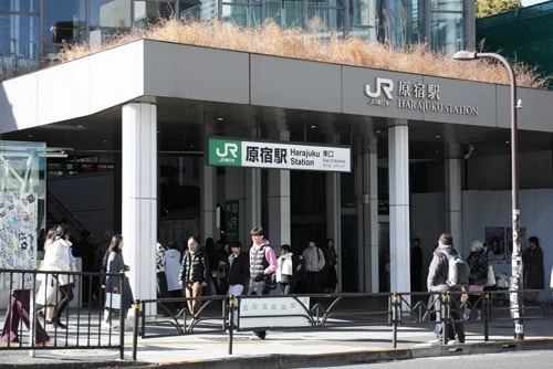 明治神宮の写真スポット｜美しく撮れるおすすめ撮影ポイント｜最寄り駅