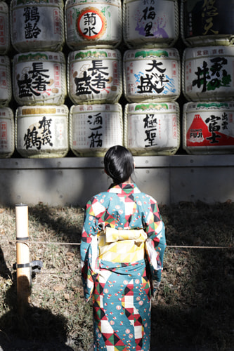 明治神宮の写真スポット｜美しく撮れるおすすめ撮影ポイント｜木漏れ日を活かす