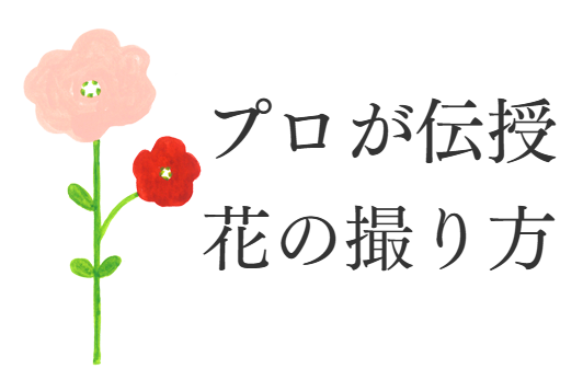 プロカメラマンが花の撮影テクニックを公開