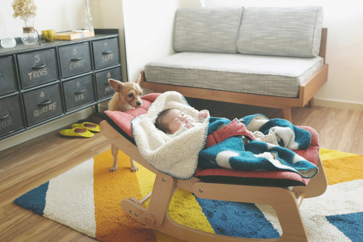 お宮参り、七五三の参道を歩く写真