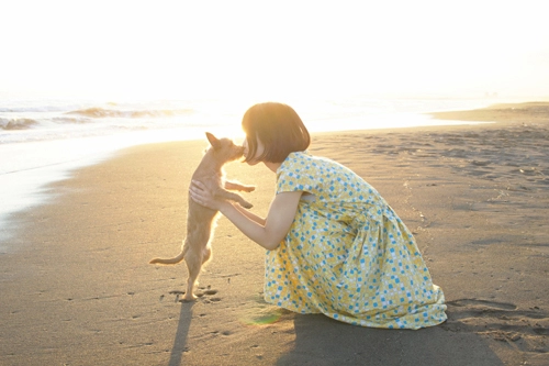 神奈川・横浜の出張カメラマンによる写真教室