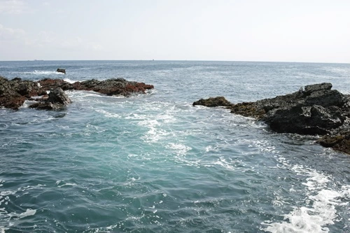 神奈川・横浜の出張カメラマンによる写真教室